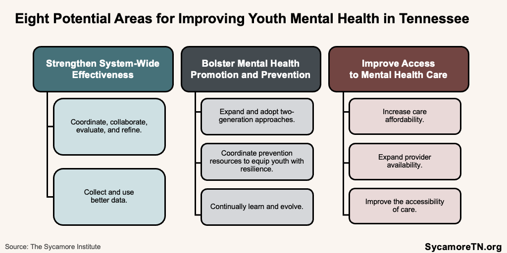 Eight Potential Areas for Improving Youth Mental Health in Tennessee
