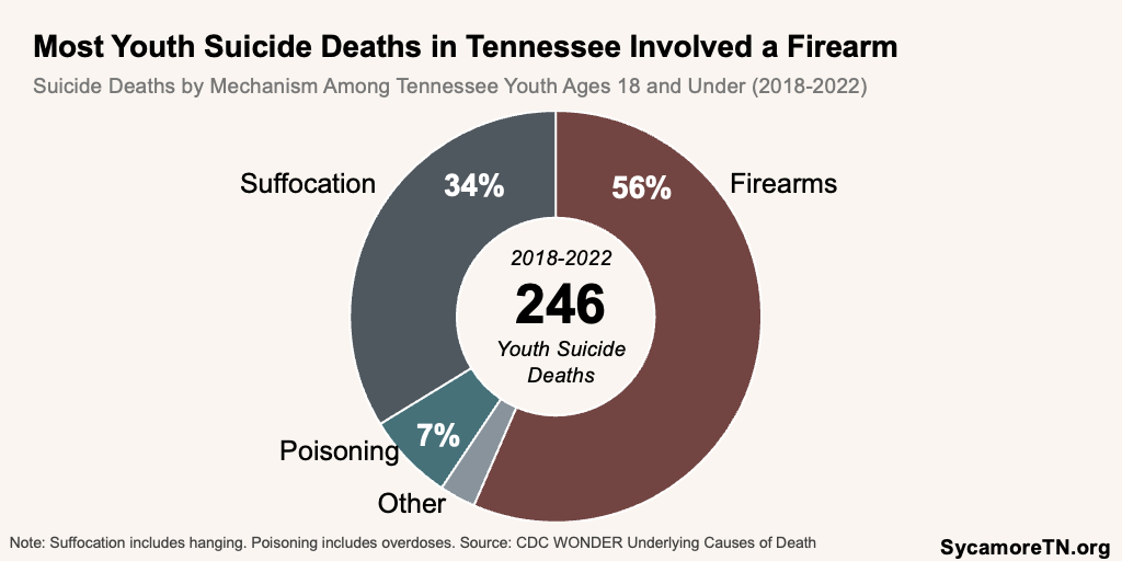 Most Youth Suicide Deaths in Tennessee Involved a Firearm